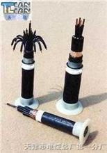 MHYYP矿用防爆通信电缆（5*2*0.5/0.6）详解及其应用